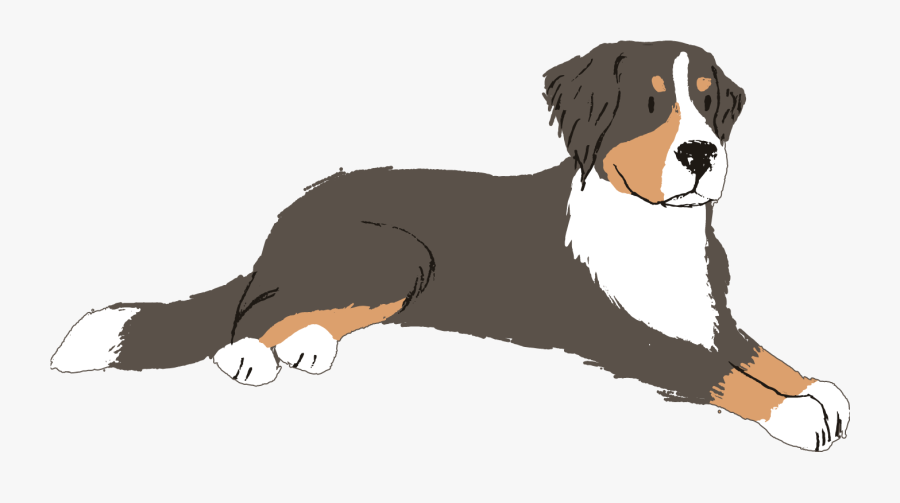 Bernese Mountain Dog Clipart , Png Download - Dog Catches Something, Transparent Clipart