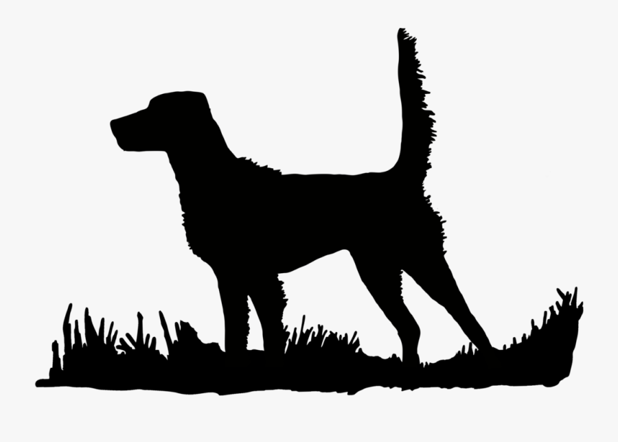 English Setter - Hunting Dog Clip Art, Transparent Clipart