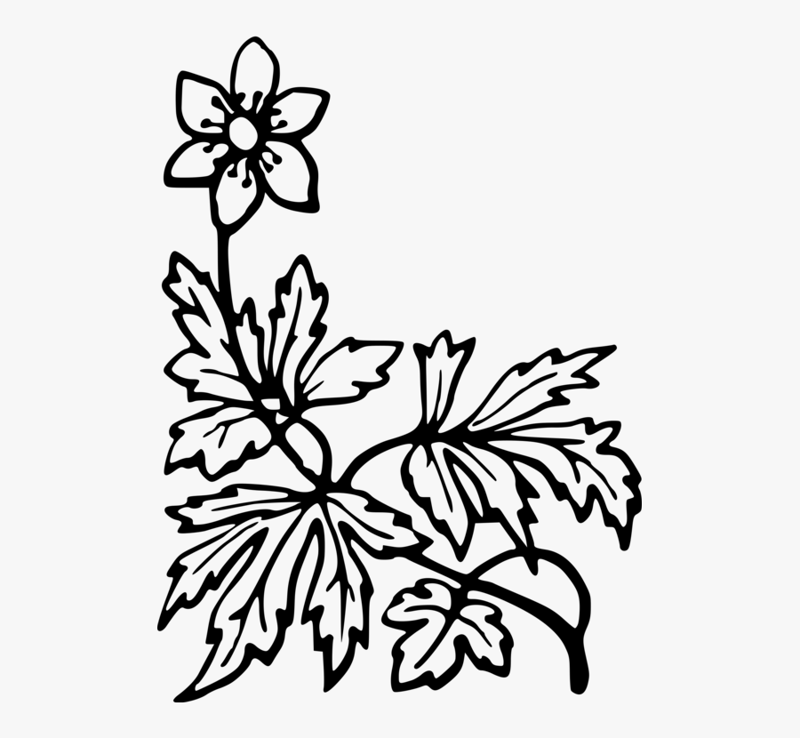 Four-leaf Clover, Transparent Clipart