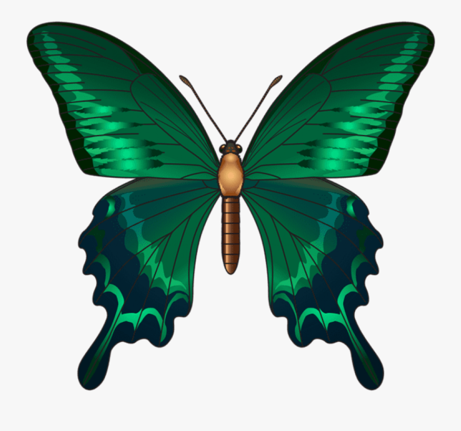Butterfly Dragon, Butterfly Clip Art, Green Butterfly, - Blue Butterfly Clipart Transparent Background, Transparent Clipart