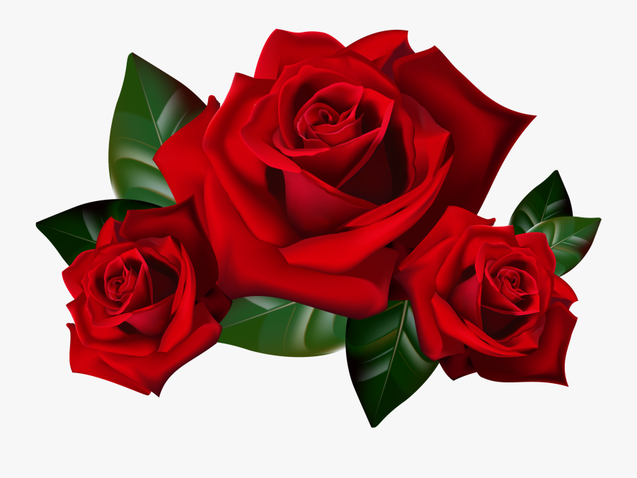Rose Clip Art Free On Clipart Transparent Png - Red Roses Clip Art, Transparent Clipart
