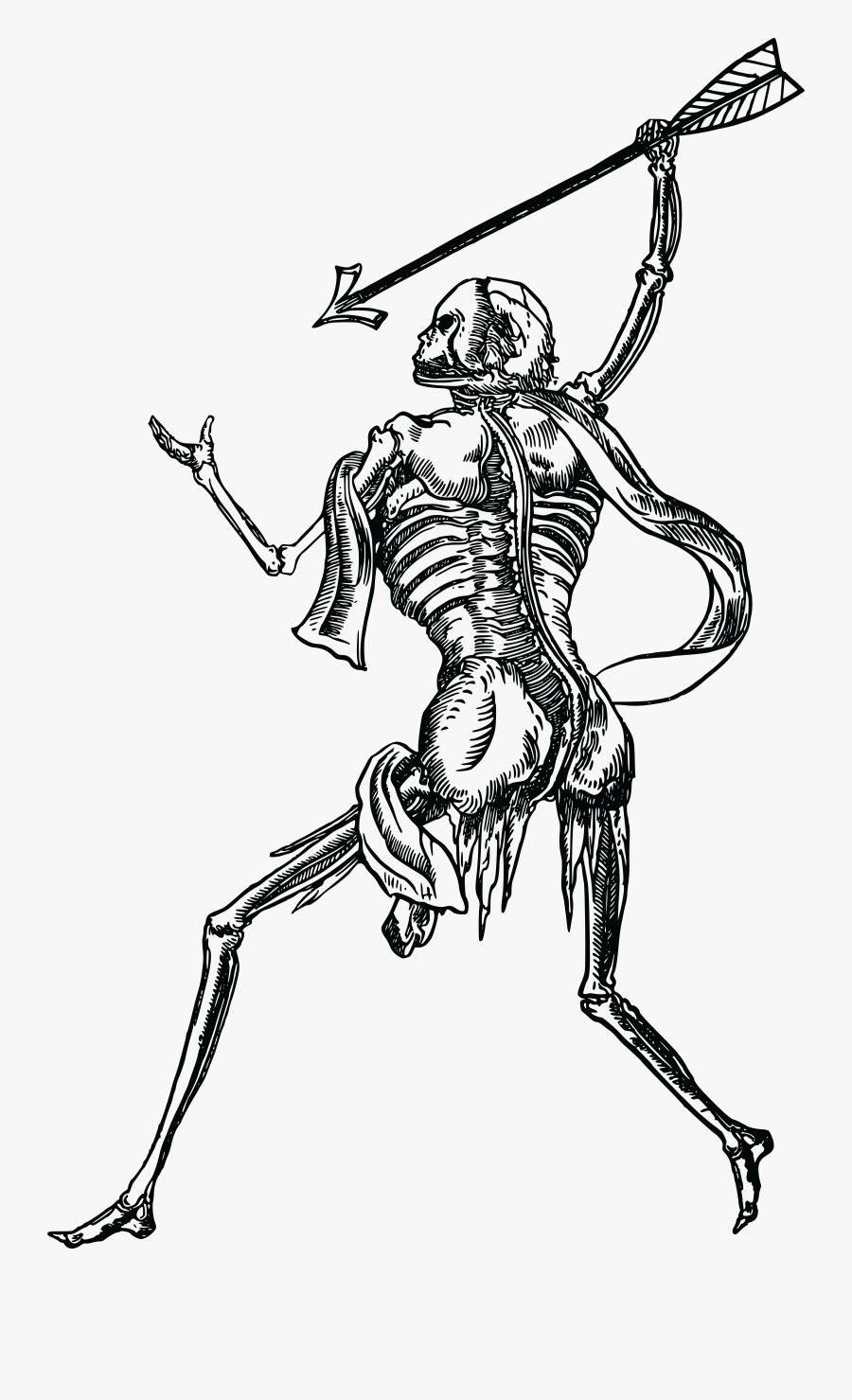 Drawing Of Skeleton Warrior, Transparent Clipart