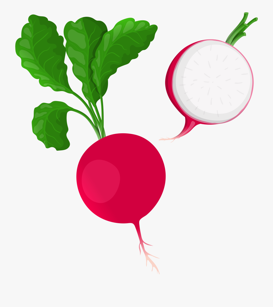 Radish Png Clip Art - Drawing Radish Png Transparent, Transparent Clipart