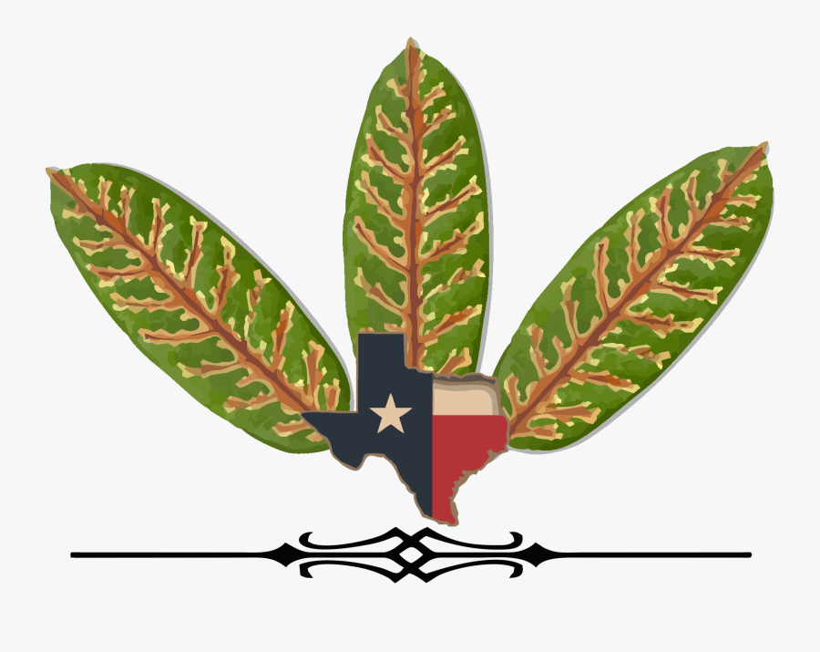 Wilt, Transparent Clipart