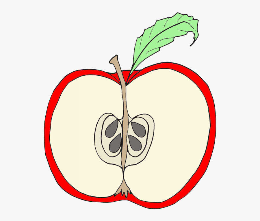 Cute Apple Images Transparent Image - Parts Of An Apple Clipart, Transparent Clipart