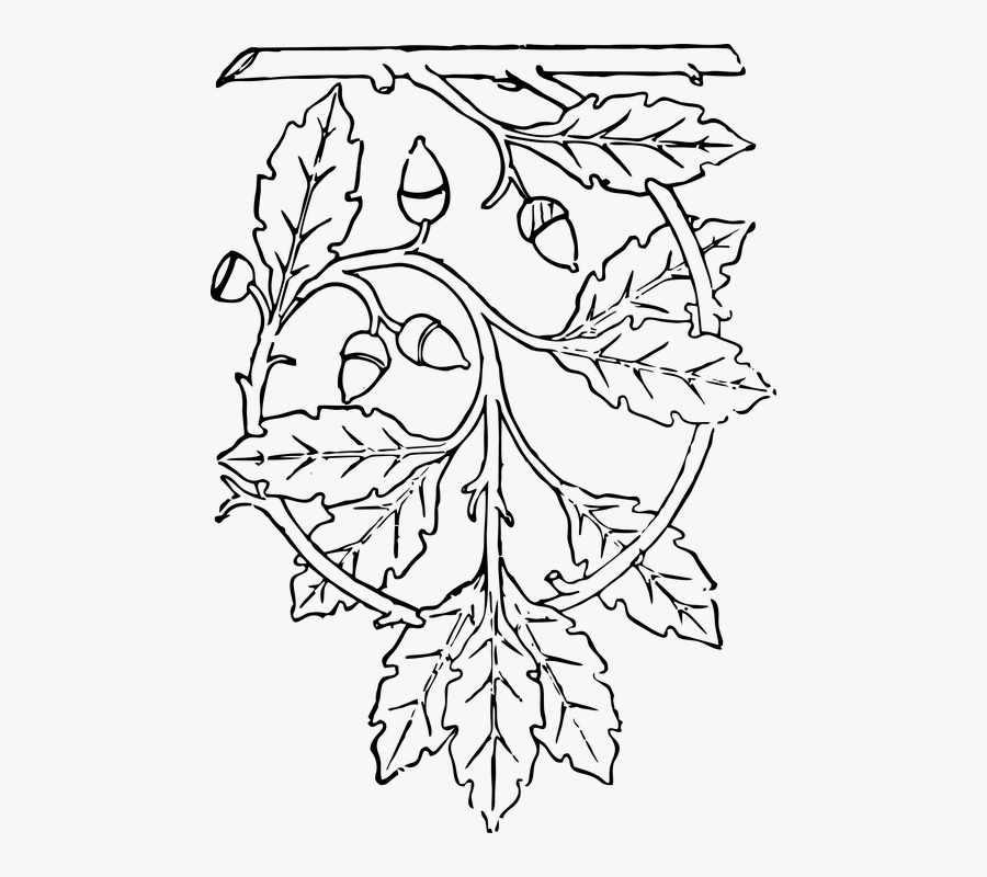 Transparent Live Oak Tree Clipart - Warrior Predator Weapon Predator Drawing, Transparent Clipart