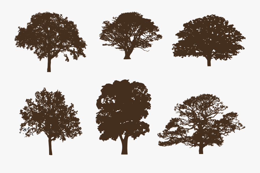 Oak Silhouette Clip Art Vector Graphics Tree - Oak Silhouette, Transparent Clipart