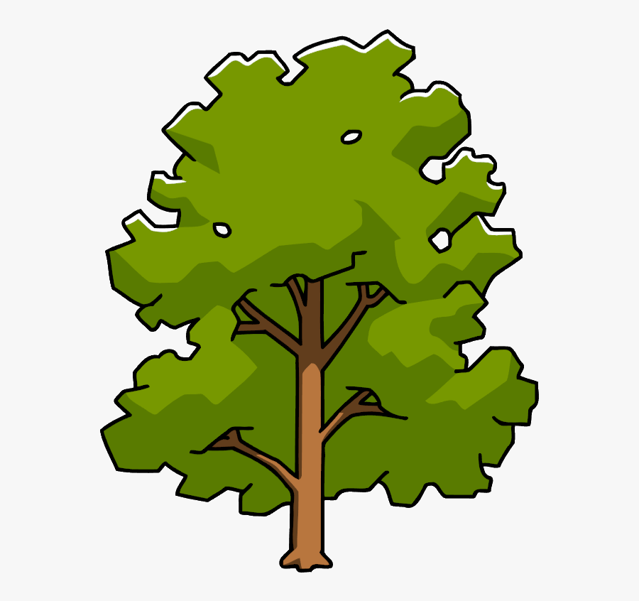 Graphic Download Oak Clipart Sycamore Tree - Oak, Transparent Clipart