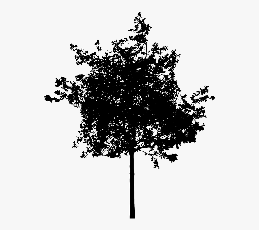 Plane - Architecture Tree Silhouette Png, Transparent Clipart