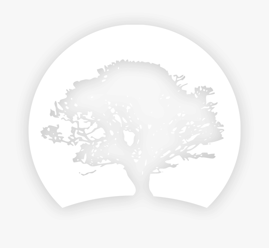 Green Tree Silhouette Png, Transparent Clipart