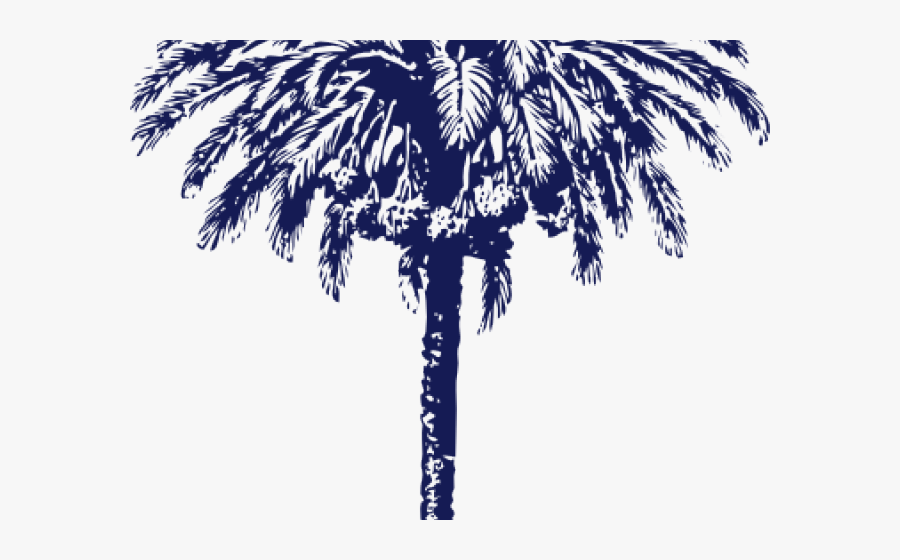 Date Palm Tree Diameter, Transparent Clipart
