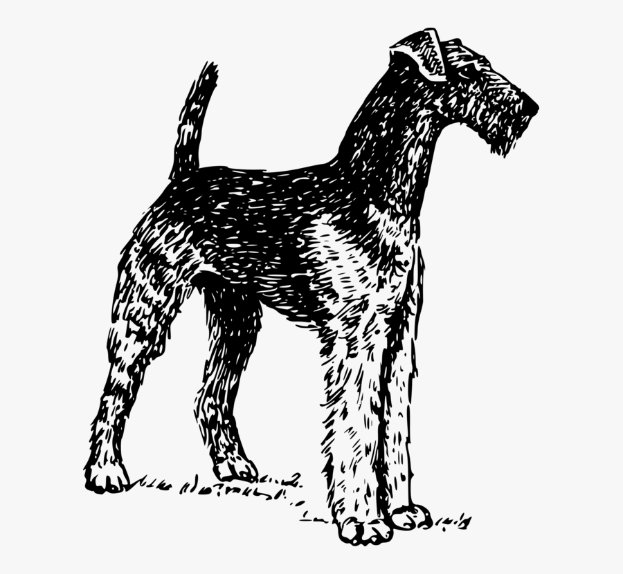 Free Vector Airedale Clip Art - Airedale Clipart, Transparent Clipart