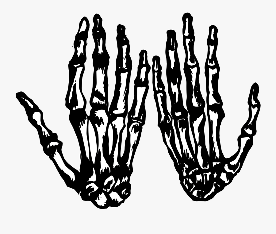 Hd Skeleton Hands - Both Skull Hands Png, Transparent Clipart
