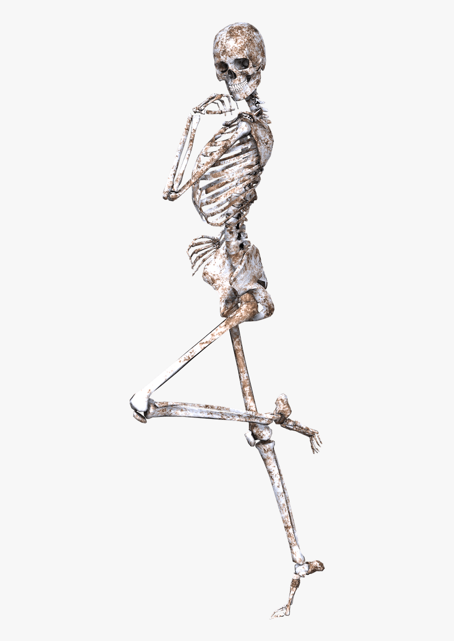 Skeleton On One Leg - Skeleton Clipart No Background, Transparent Clipart