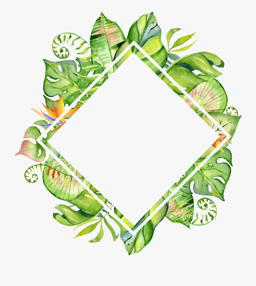Download Hand Painted Rhomboid - Tropical Leaves Frame Png, Transparent Clipart