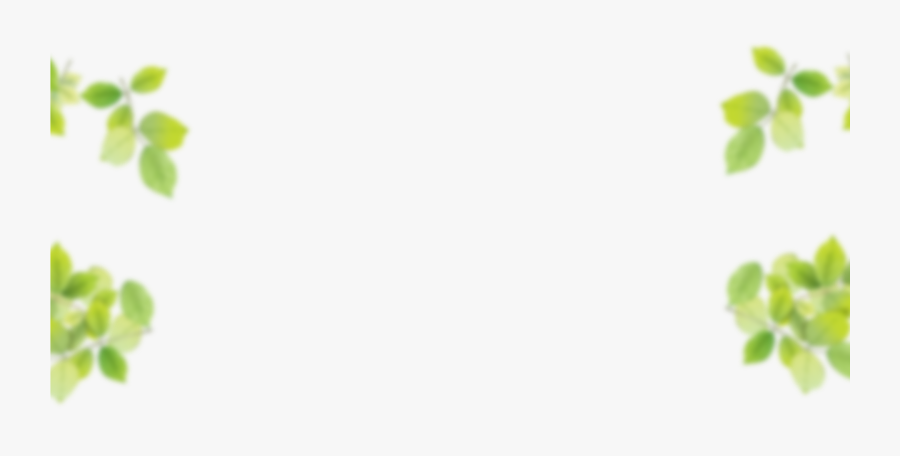 White Background With Leaves Border Png - Leaves High Resolution, Transparent Clipart