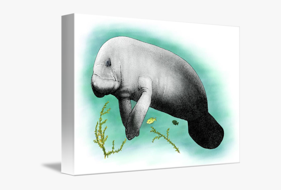 Clip Art By Roger Hall - Manatee, Transparent Clipart