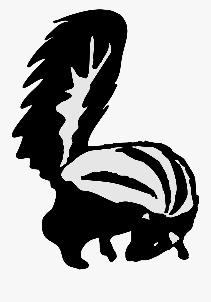 Skunk, Looking, Behind, Animal, Fur - Pepé Le Pew, Transparent Clipart