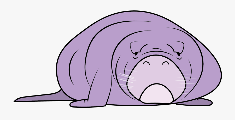Manatee - Cartoon Manatee Transparent, Transparent Clipart
