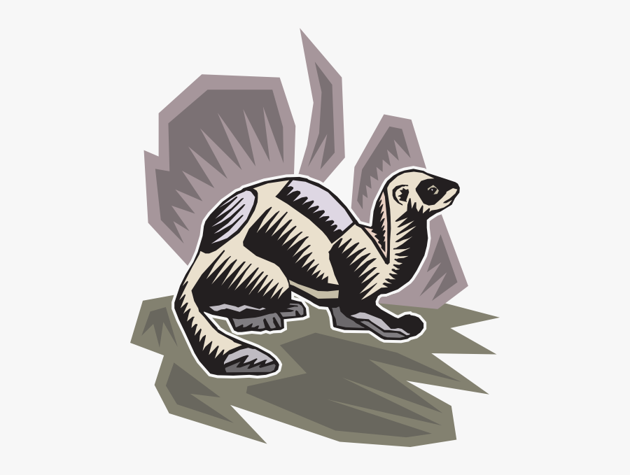 Striped Skunk, Transparent Clipart