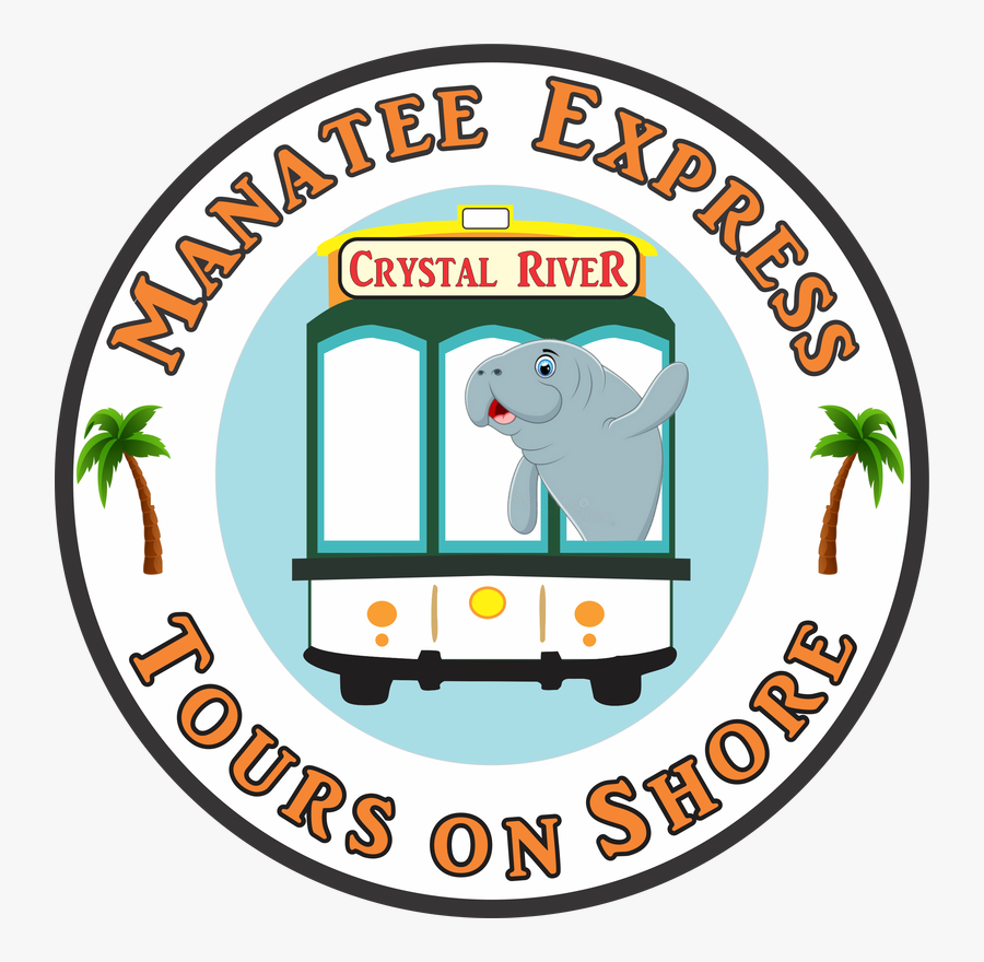 Picture, Transparent Clipart