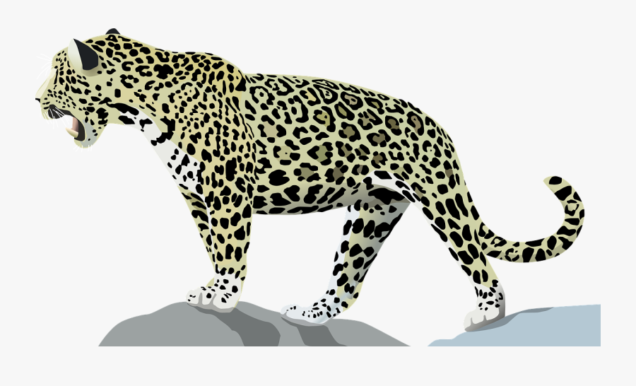 Jaguar - Jaguar Animal, Transparent Clipart