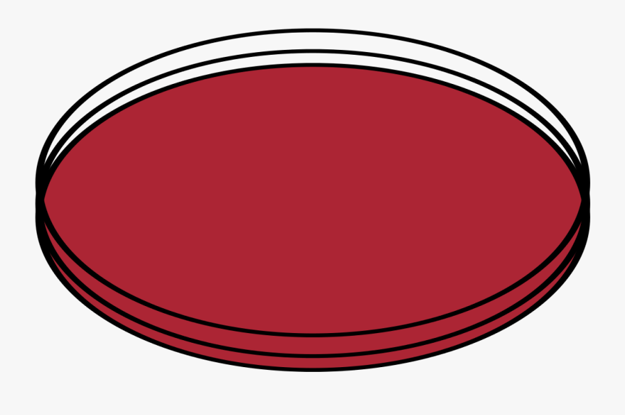Petri Dish Png - Circle, Transparent Clipart