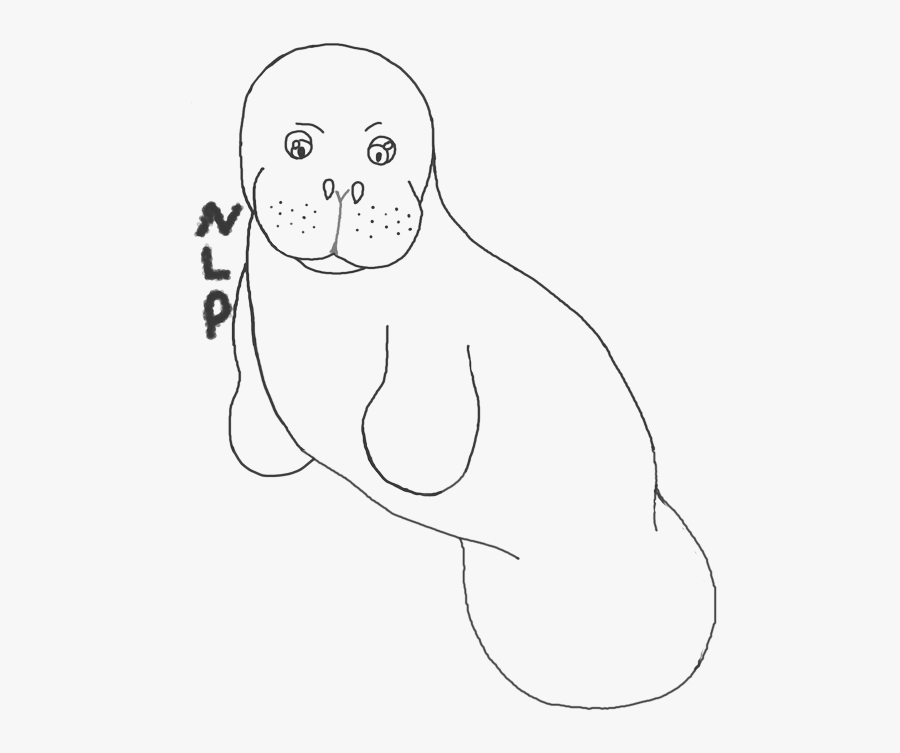 Manatee Lineart - Line Art, Transparent Clipart