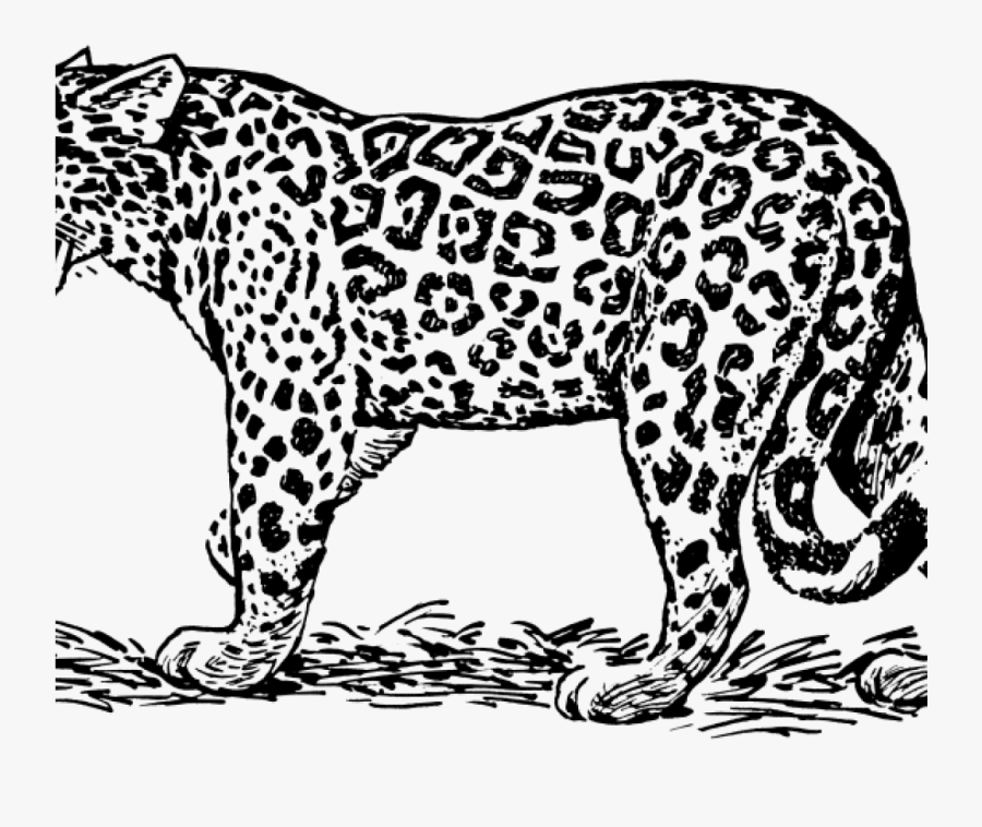 Transparent Jaguar Clipart - Jaguar Black And White Clipart, Transparent Clipart