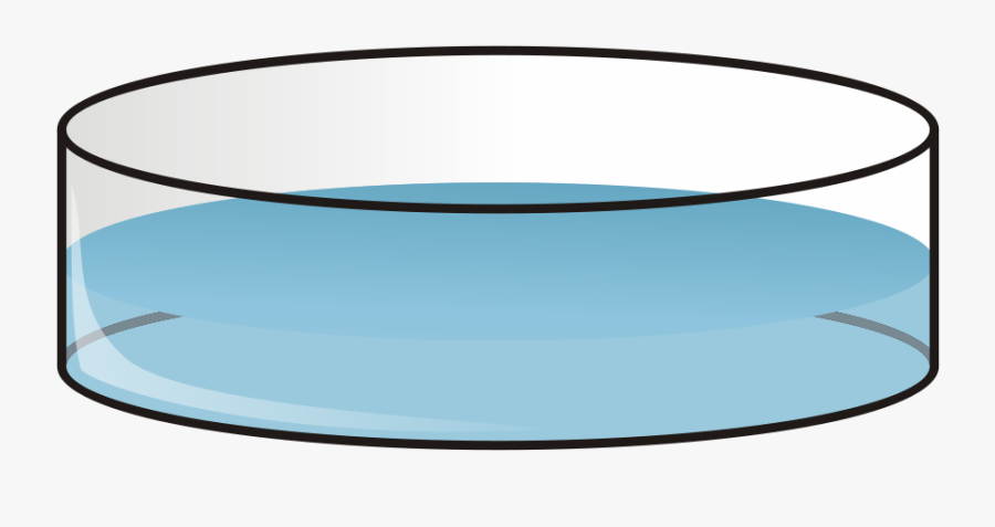 Dish Clipart Png File Tag List, Dish Clip Arts Svg - Petri Dish With Seeds, Transparent Clipart