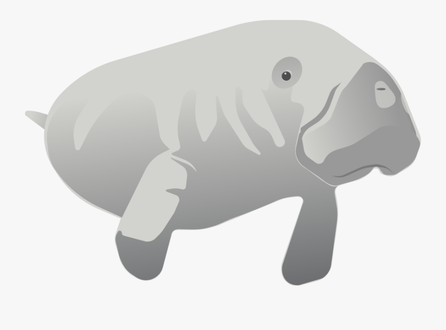Hippopotamus, Transparent Clipart
