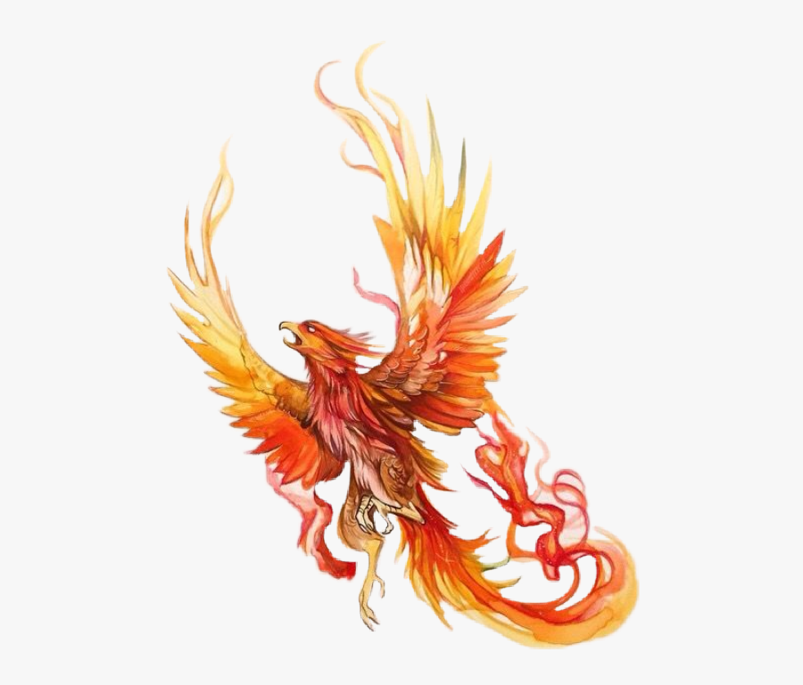 #phoenix #faukes #harry Potter #harrypotter #dumbledore - Phoenix Colored Pencil Drawing, Transparent Clipart