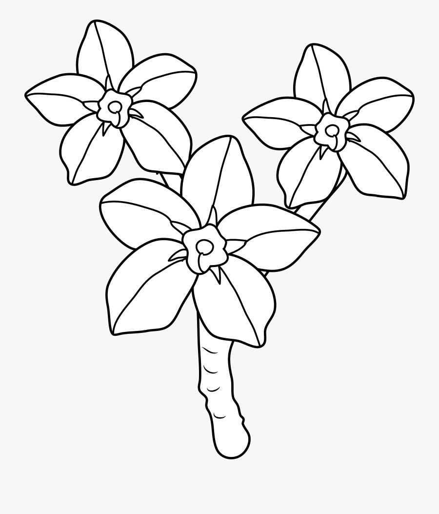 Cute Phoenix Bird Line Art Daisy Girl Colorable Line - Drawing, Transparent Clipart