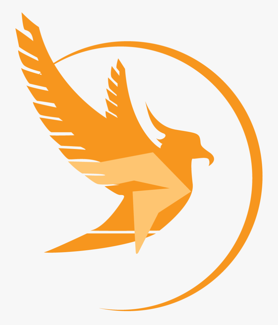 Phoenix Productions Mc Dj Lighting In Boston Ma - Phoenix Production, Transparent Clipart