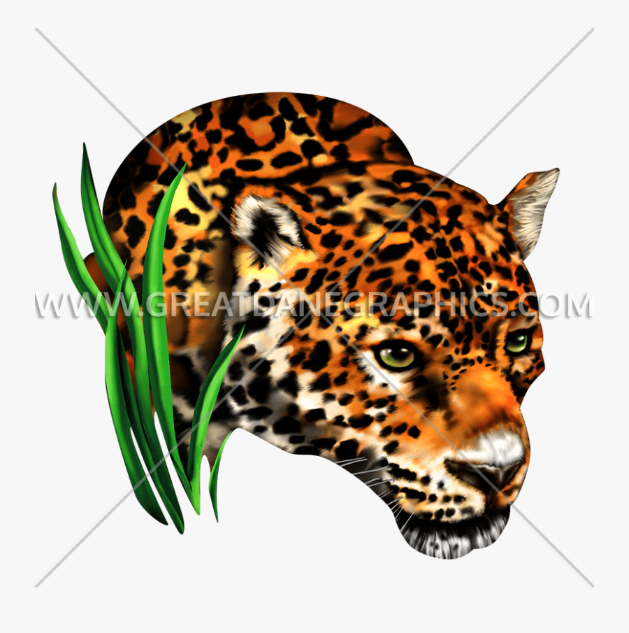 Portable Network Graphics, Transparent Clipart