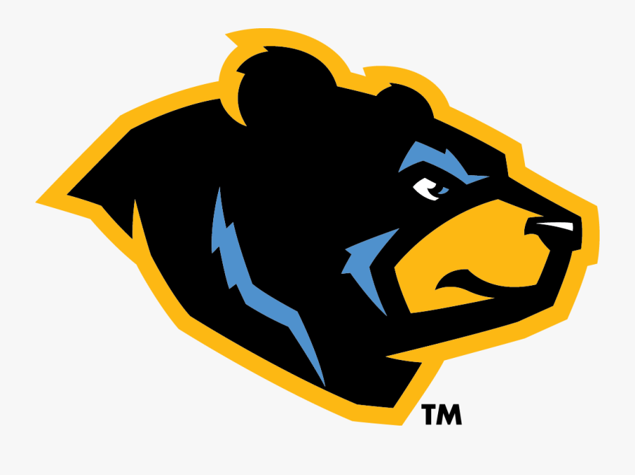 Pirates Affiliates Altoona Curve Pa - Black Bears Baseball Logo, Transparent Clipart