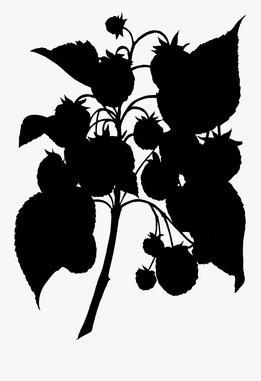 Grape Clip Art Silhouette Pattern Flower - Illustration, Transparent Clipart