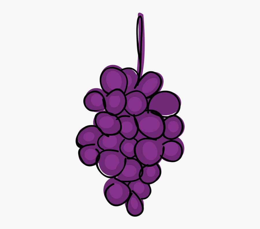 Grape, Fruit, Cartoon, Fresh, Vitamin, Healthy, Wine - Grape Animation, Transparent Clipart