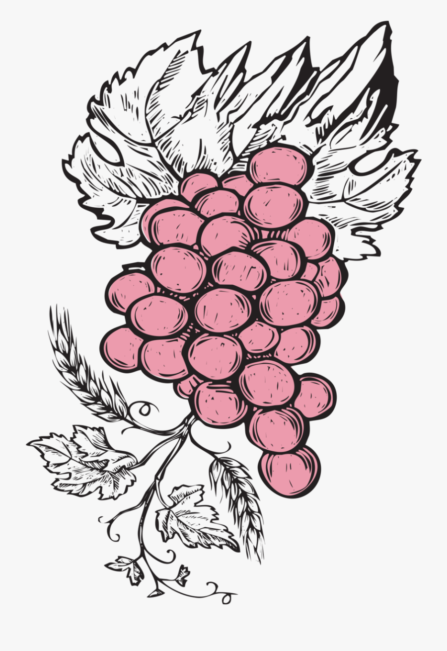 Avery Rocky Mountain Rose, Transparent Clipart