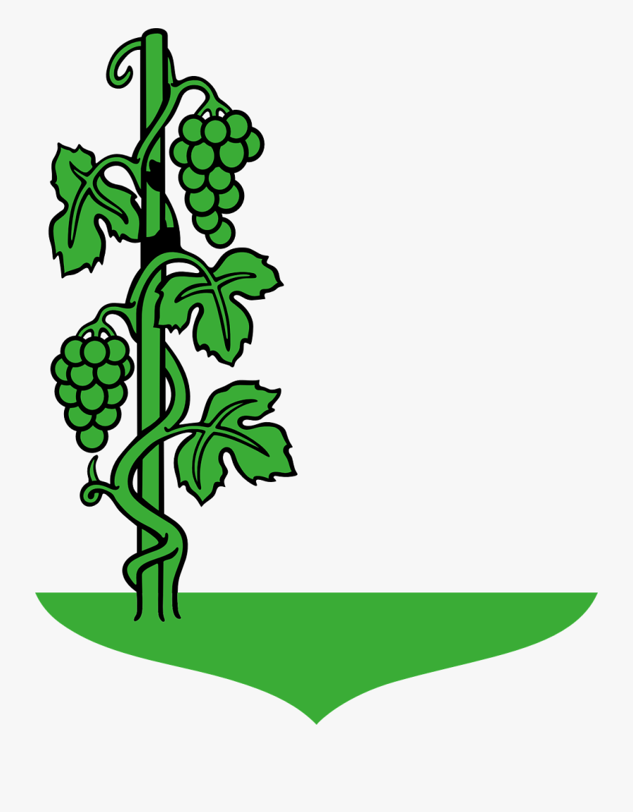 Climber Plant Clipart, Transparent Clipart