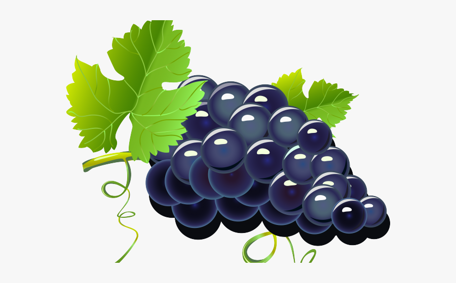 Cartoon Grapes - Grape Png, Transparent Clipart