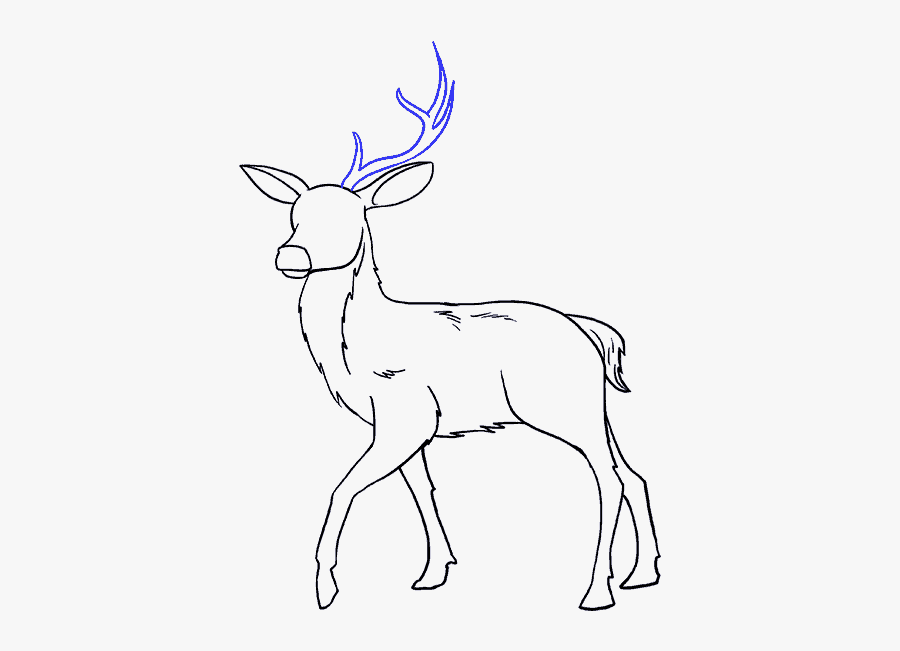 How To Draw Deer - Reindeer, Transparent Clipart