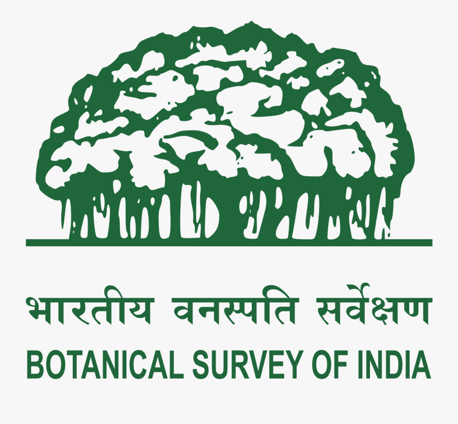 Information About Botanical Survey Of India, Transparent Clipart