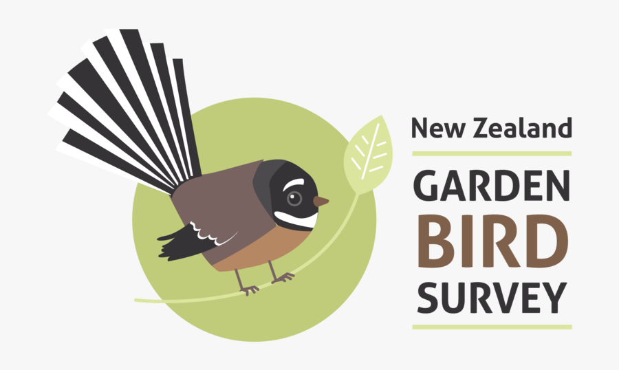 Garden Bird Survey, Transparent Clipart