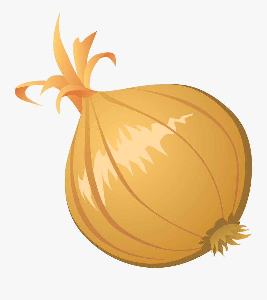 Food Onion - Onion Clip Art, Transparent Clipart