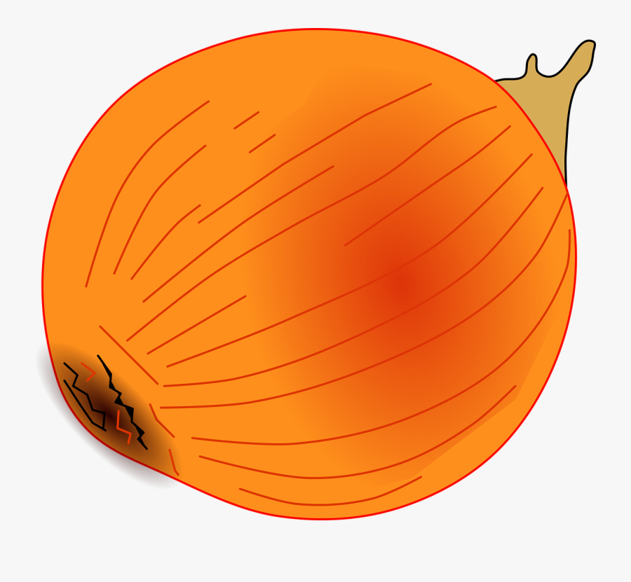Onion Vegetable Spices Food Png Image, Transparent Clipart