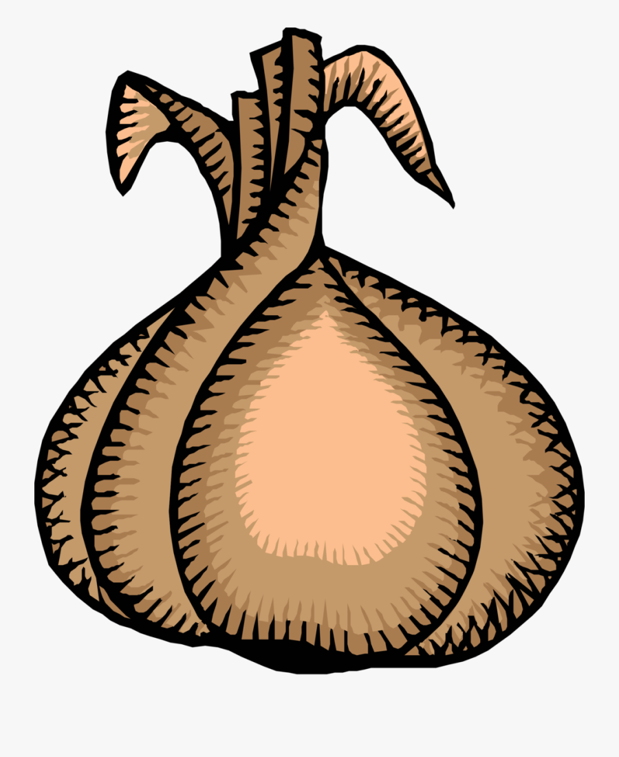 Onion - Onion Clip Art, Transparent Clipart