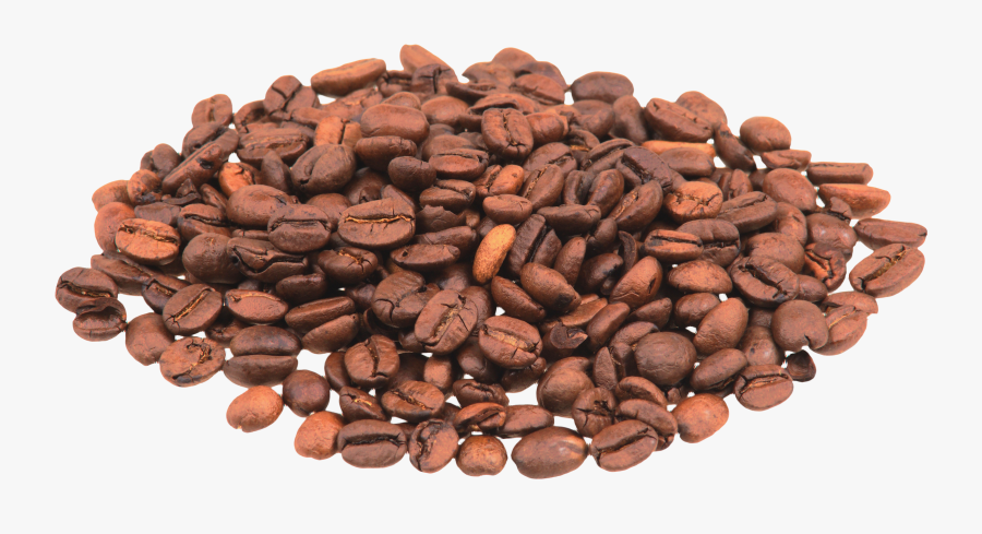Coffee Beans Png Clipart - Cocoa Beans No Background, Transparent Clipart