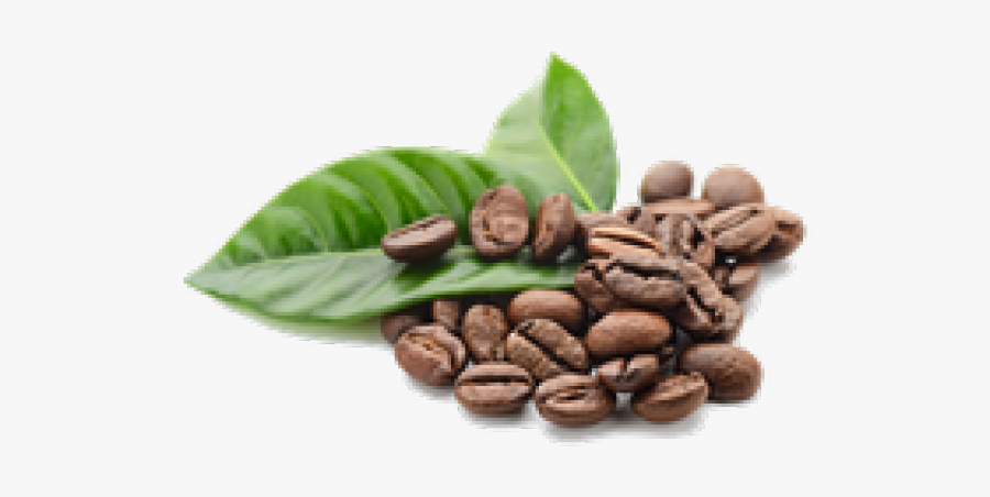 Coffee Beans Png Transparent, Transparent Clipart