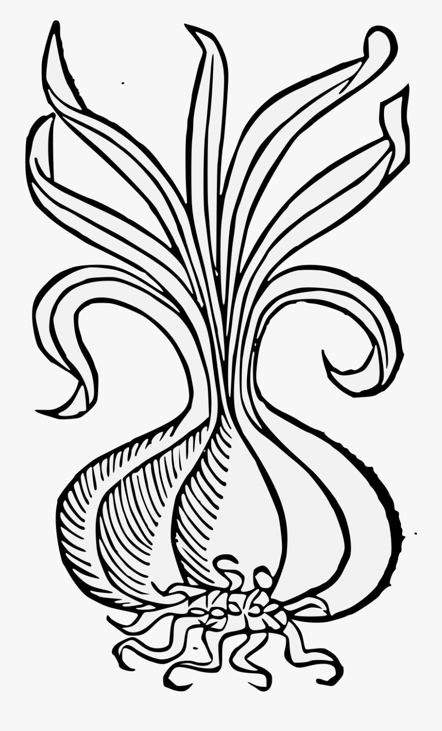 Illustration, Transparent Clipart